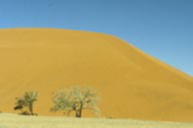Sand Dunes of Namib desert
