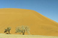 Sand Dunes of Namib desert