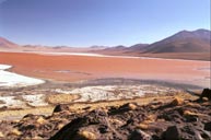 Laguna Colorada in the morning