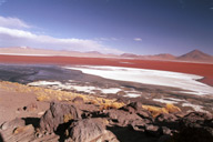 Laguna Colorada in the afternoon