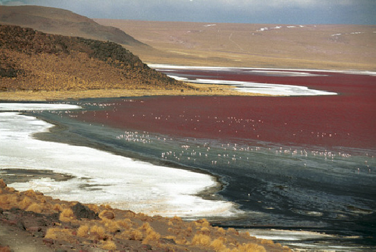 Landscape of Lake Colorada
