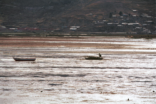 Fisherman going home, Lake Titicaca