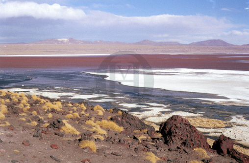 Laguna Colorada