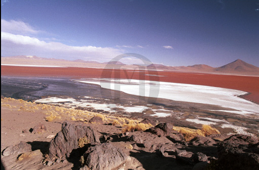 Laguna Colorada